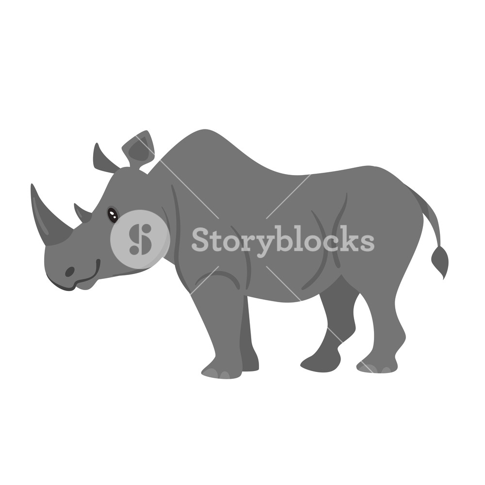 1000x1000 Vector Cartoon Style Illustration Of Zoo Animal