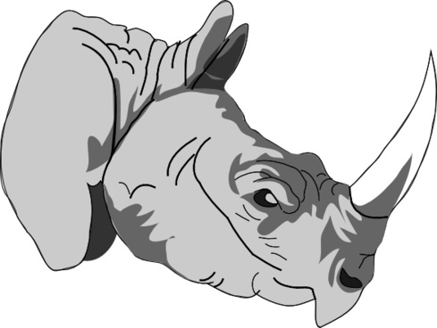 489x368 Vector Rhinoceros For Free Download
