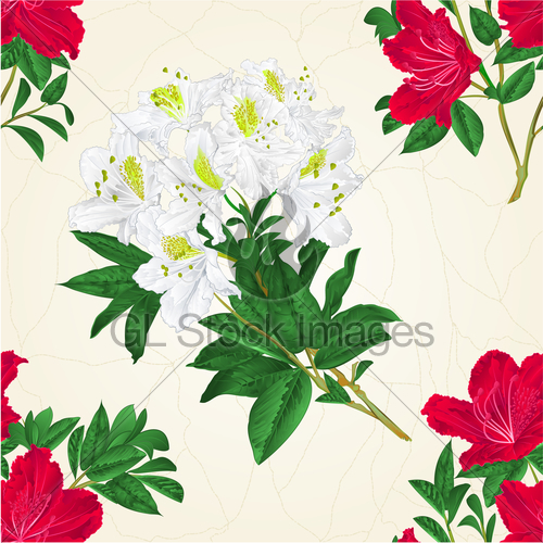 500x500 Seamless Texture Red And White Rhododendron Twig Mountain Gl