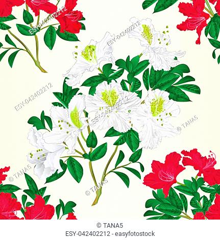 431x470 Seamless Texture Rhododendron Vector Stock Photos And Images Age
