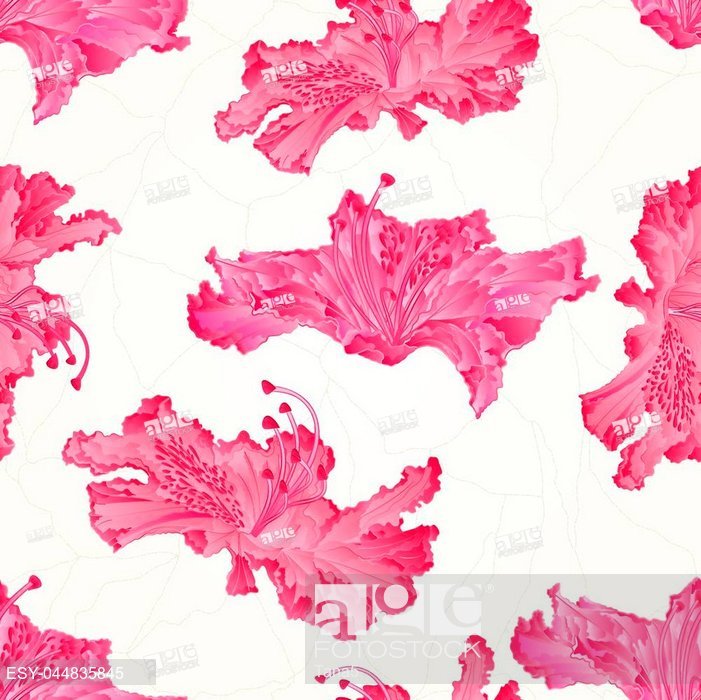 701x700 Seamless Texture Rhododendrons Pink Flowers Mountain Shrub Cracks