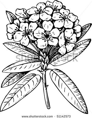 365x470 Flower Rhododendron Rhododendron Flowers, Flower Clipart, Drawings