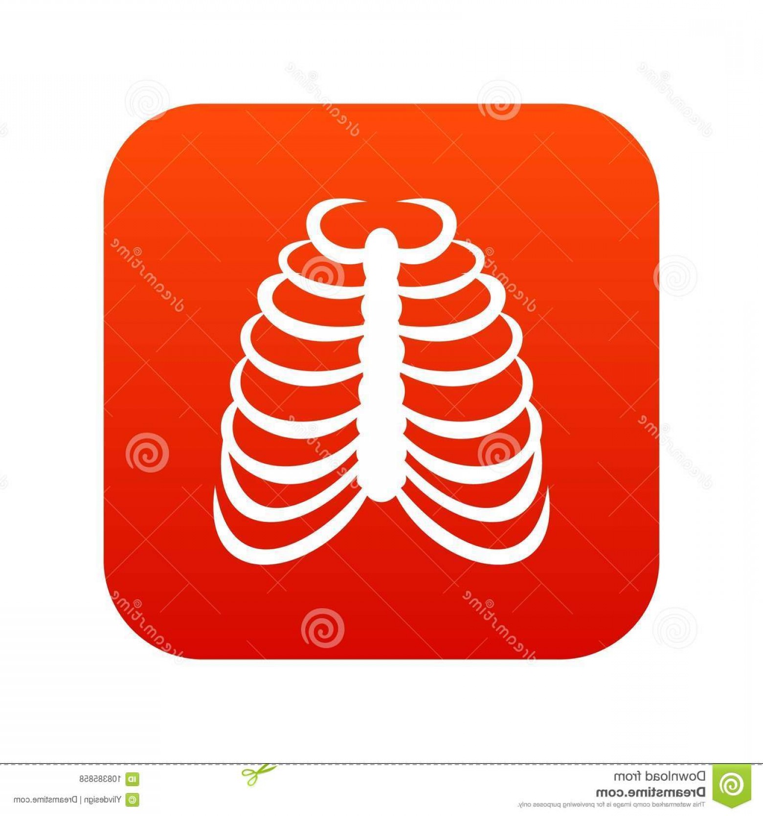 1560x1668 Rib Cage Icon Digital Red Any Design Isolated White Vector