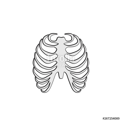 Rib Cage Vector at Vectorified.com | Collection of Rib Cage Vector free ...