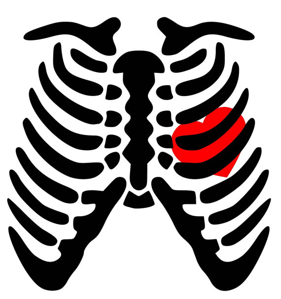570x607 Skeleton Rib Cage Heart Pdf Png Dxf
