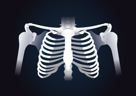 450x318 Human Rib Cage Vector In Dark Background Illustration About Human