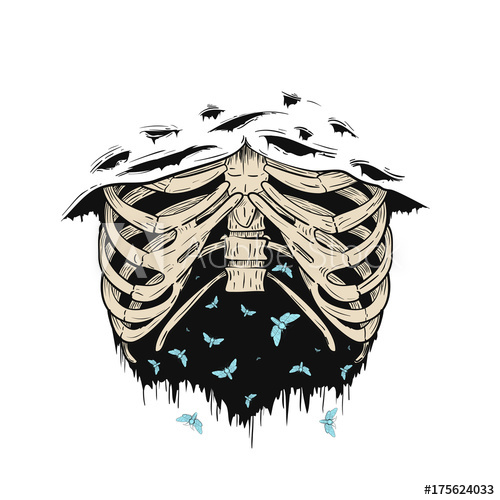 500x500 Human Ribs Or Rib Cage With Flying Moths In Retro Vintage Style
