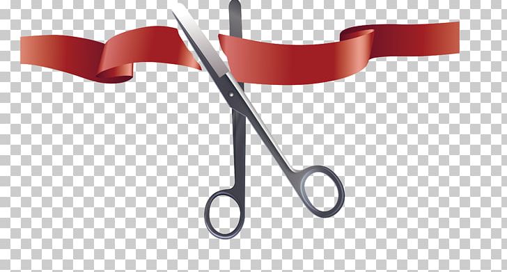 728x391 Ribbon Opening Ceremony Icon Png, Clipart, Animation, Ceremony