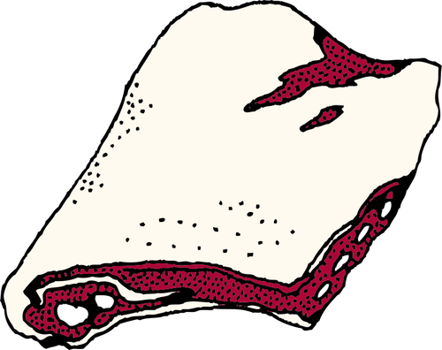 500x396 Rack Of Ribs Vector Clip Art