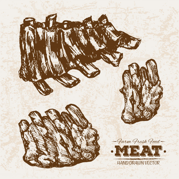 626x626 Hand Drawn Grilled Ribs Vector Premium Download