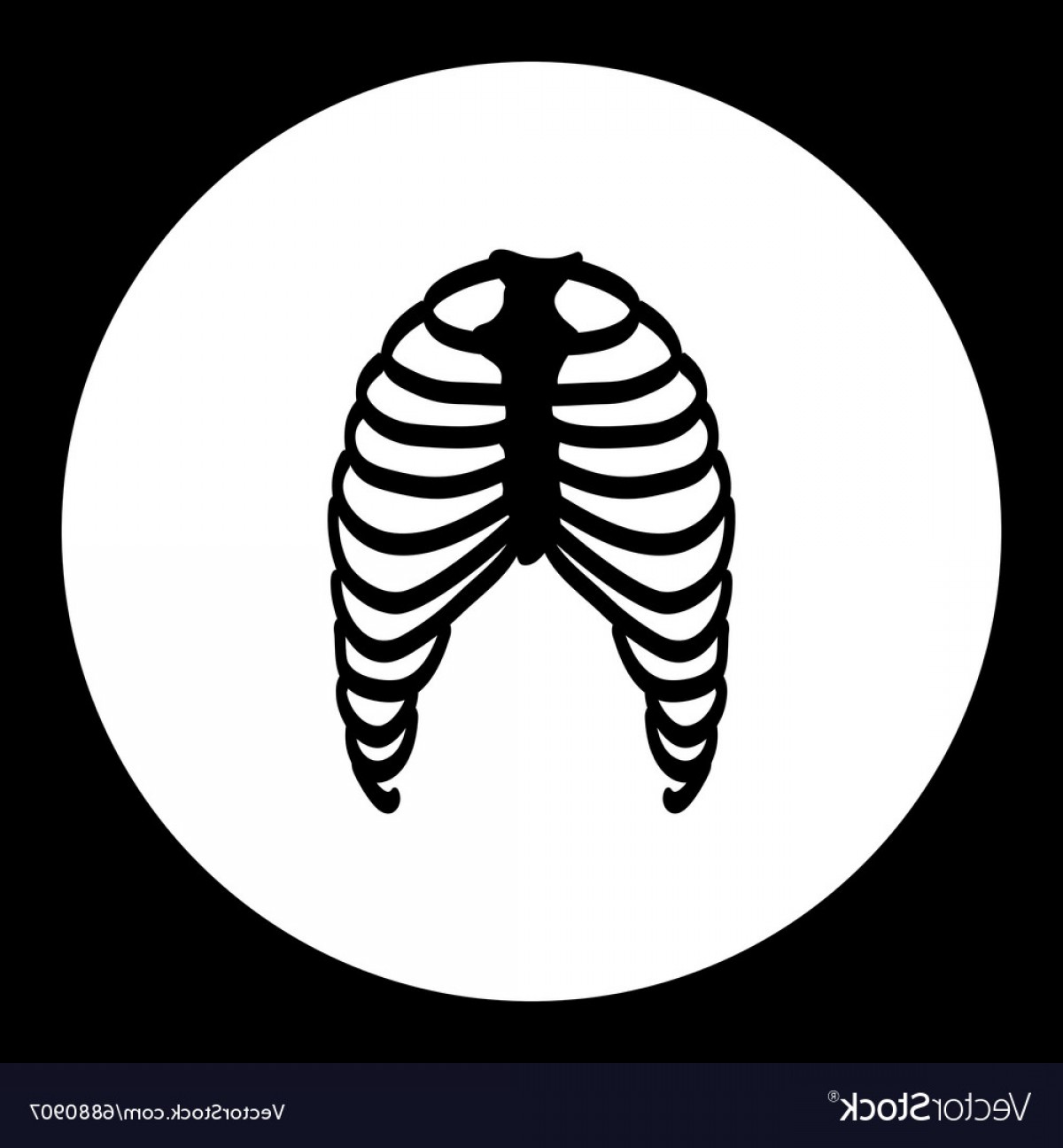 1200x1296 Human Ribs Bones Black Simple Icon Vector Cqrecords