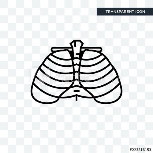 500x500 Human Ribs Vector Icon Isolated On Transparent Background, Human