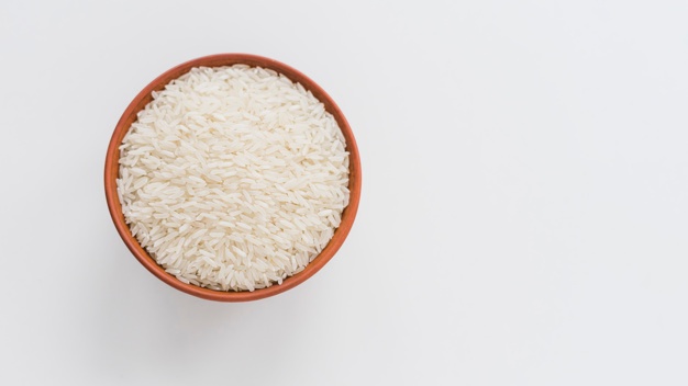 Rice Grain Vector