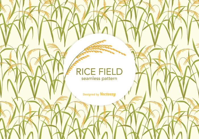 700x490 Rice Free Vector Art