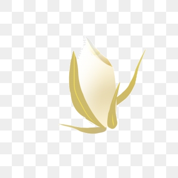 360x360 Rice Grain Png Images Vector And Free Download