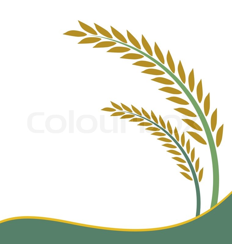 760x800 Rice Plant Clipart Black And White Png