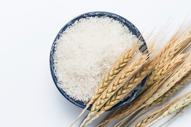 625x417 Rice Vectors, Photos And Free Download