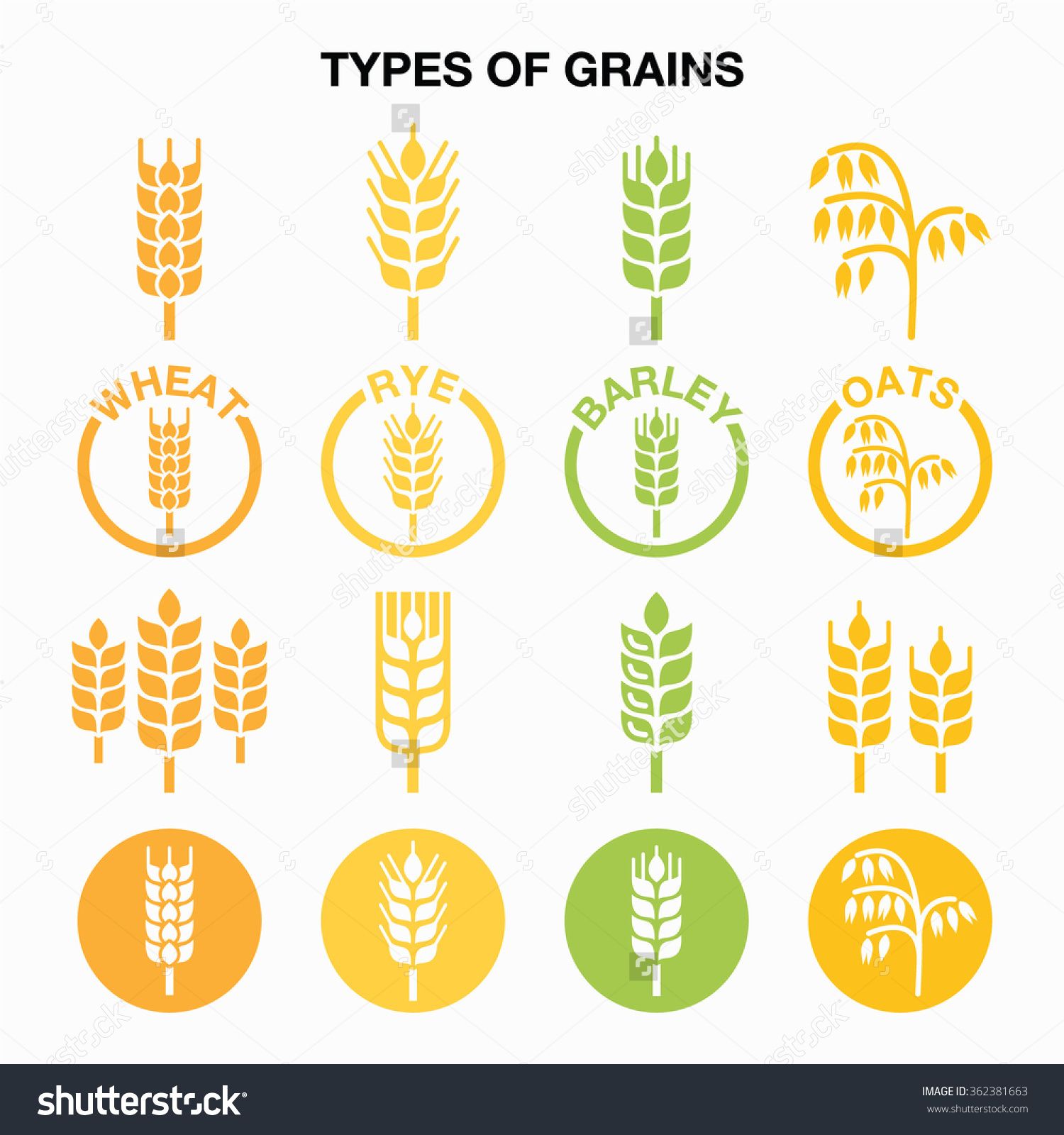 1500x1600 Types Of Grains, Cereals Icons