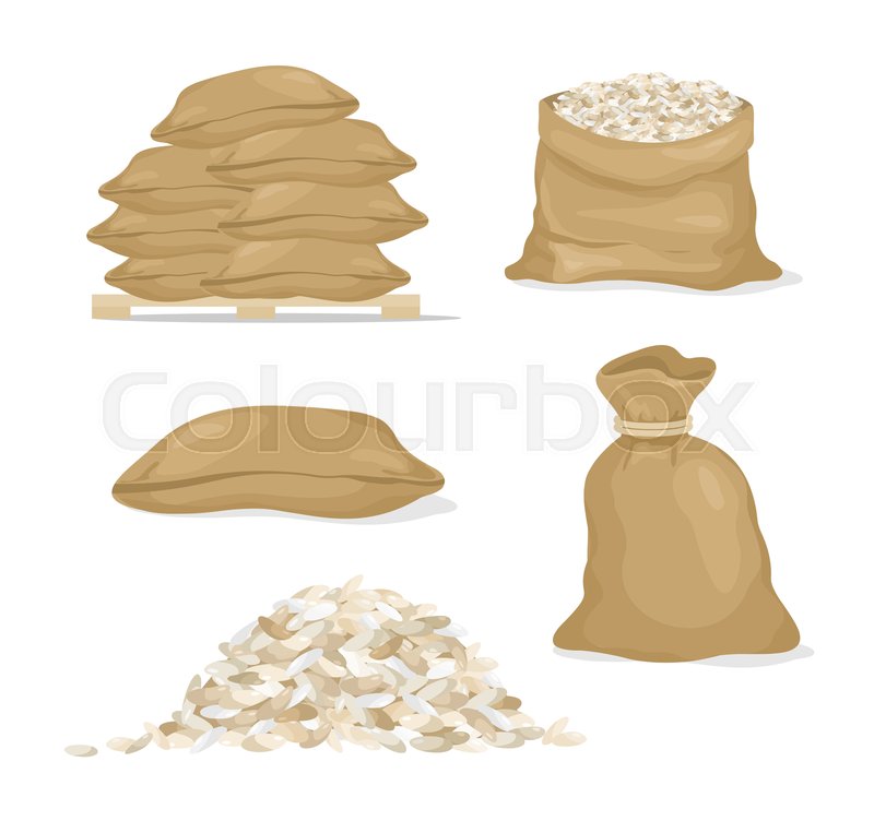800x752 Vector Illustration Set Of Rice In Stock Vector Colourbox