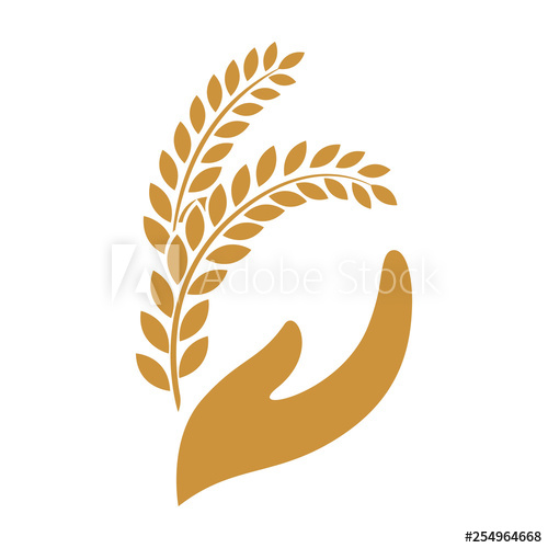 500x500 Hands Holding Rice Gran Logo Flat Vector Illustration