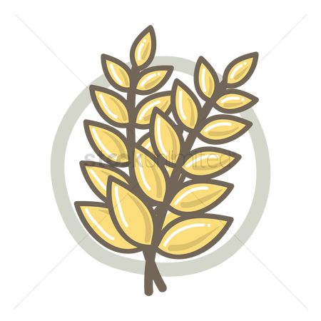 450x450 Free Rice Grain Stock Vectors Stockunlimited