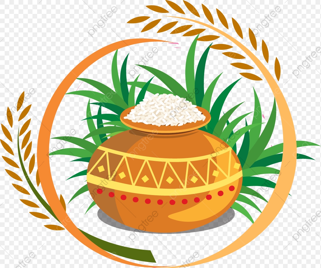 1107x926 Grains Clipart Vector Circle Png, Vector, And Clipart