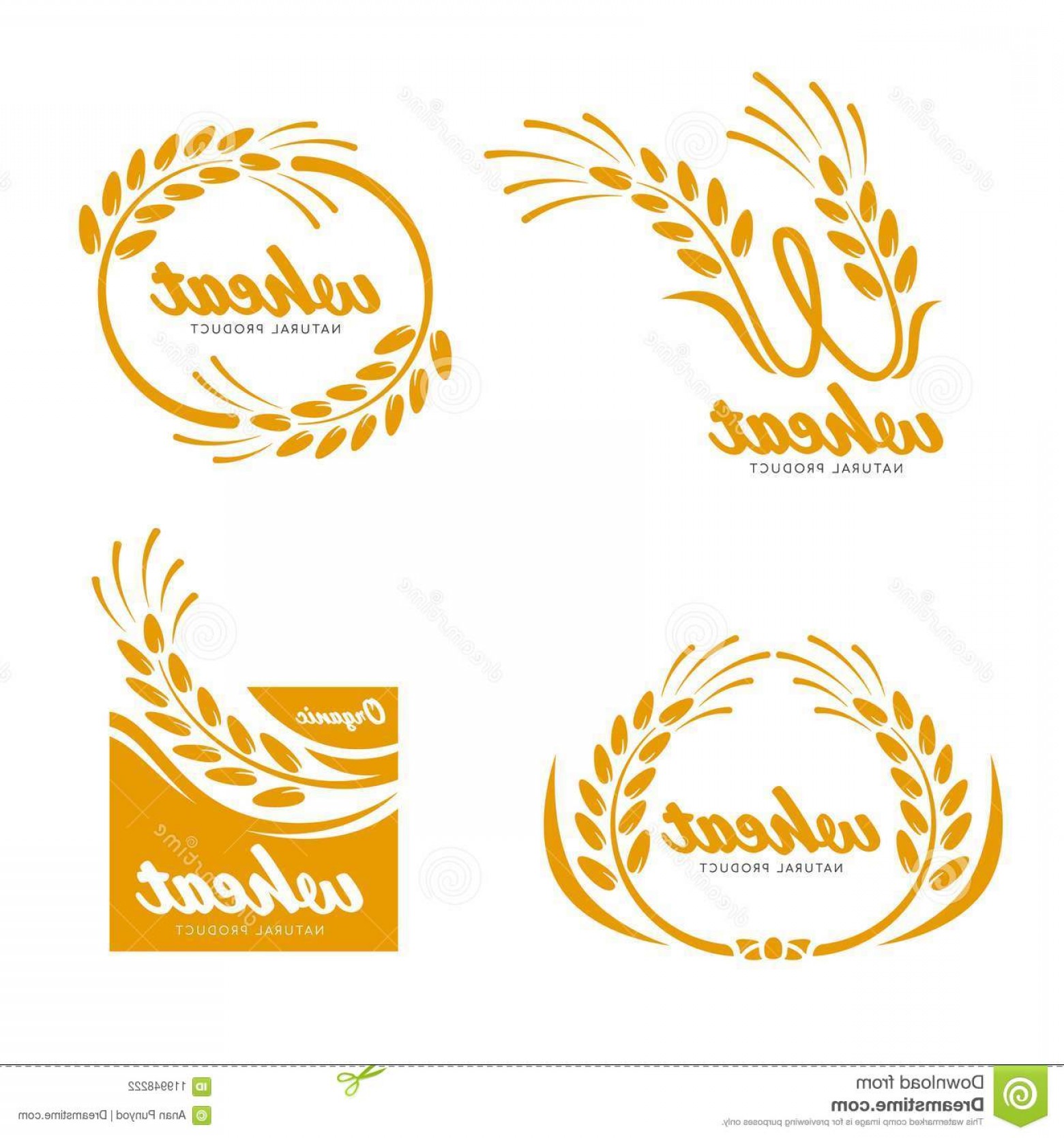 1560x1668 Rice Field Vector Art Lamaison