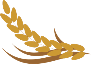 300x213 Rice Food Logo Vector