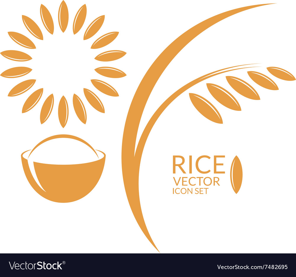1000x939 Rice Icon
