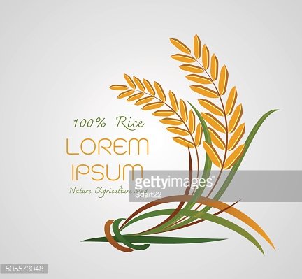432x399 Rice Logo, Agriculture Symbols Logo Vector Premium Clipart