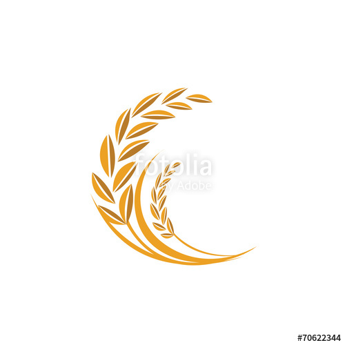 500x500 Rice Logo Name