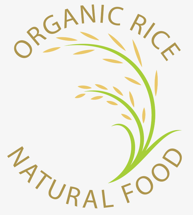 650x722 Rice Plant Clipart Logo