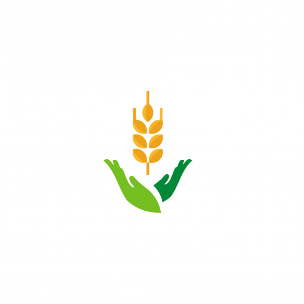 626x626 Rice Logo Vector Premium Download