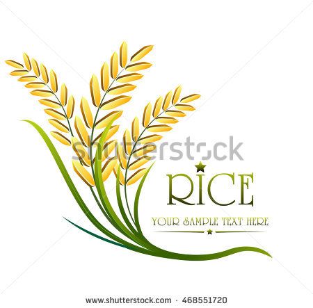 450x443 Grain Organic Natural Product With Black Background Concept