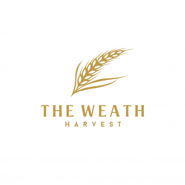 626x626 Luxury Golden Grain Weath Rice Logo Design Vector Premium Download