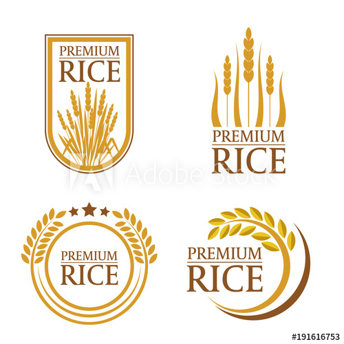 500x500 Orange Brown Paddy Premium Rice Natural Product Banner And Logo