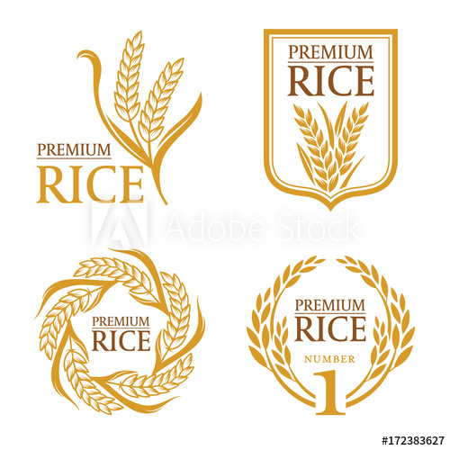 500x500 Orange Brown Paddy Rice Premium Organic Natural Product Banner