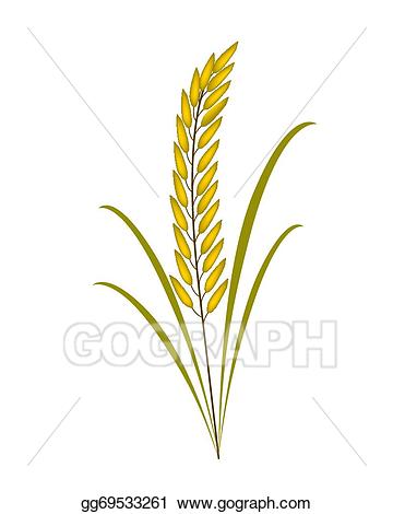 Rice Plant Vector