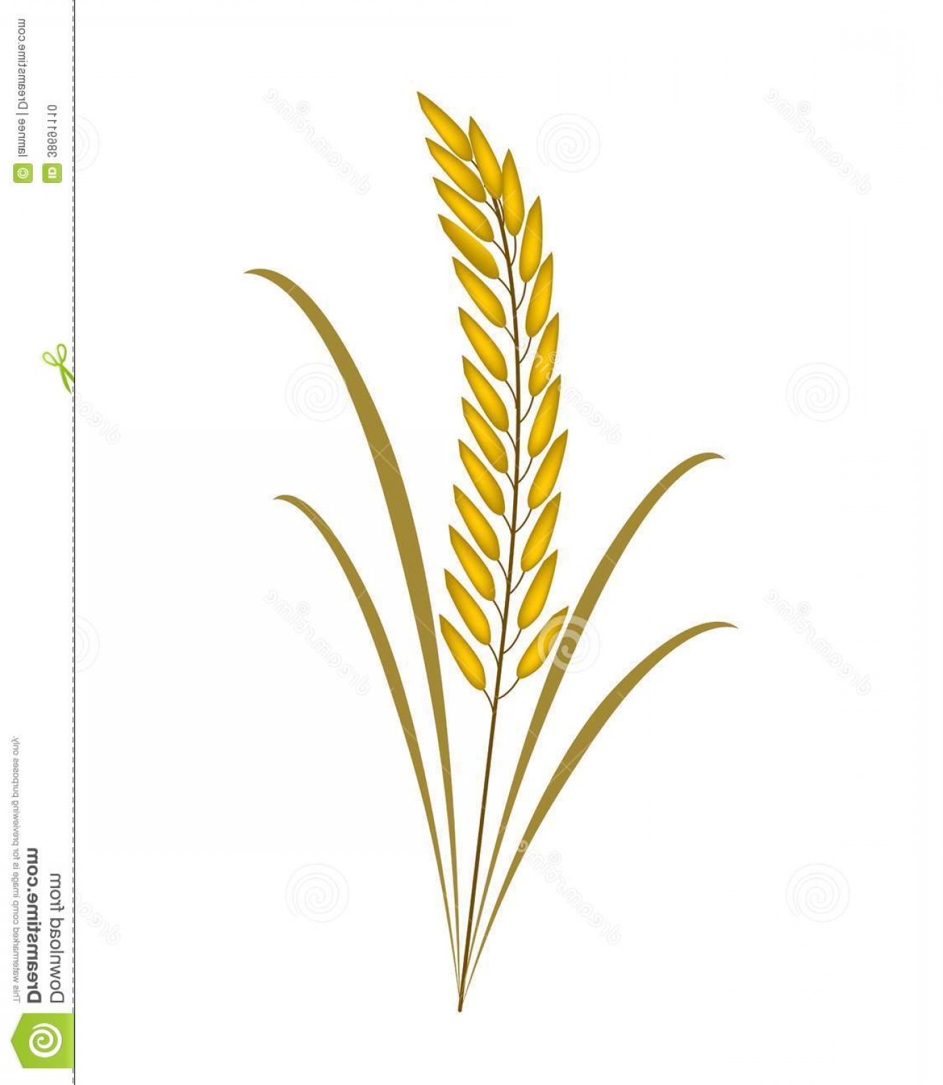 1356x1560 Rice Plant Clipart Black And White Geekchicpro