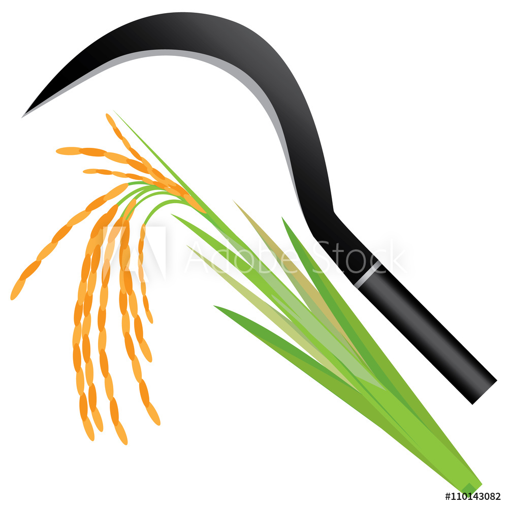 1000x1000 Photo Art Print Sickle And Rice Plant Vector Design Europosters