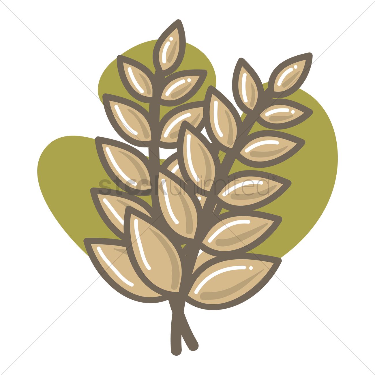 1300x1300 Rice Vector Image