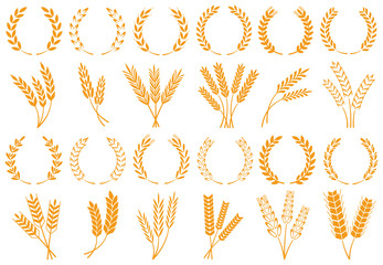 347x240 Rice Vector Photos, Royalty Free Images, Graphics, Vectors