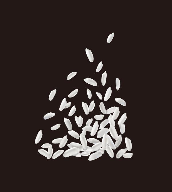 600x668 White Rice Vector