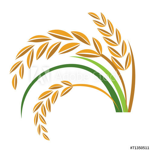 500x500 Rice Vector