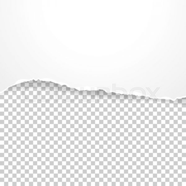 600x600 Torn Paper Banner On The Transparent Background Vector