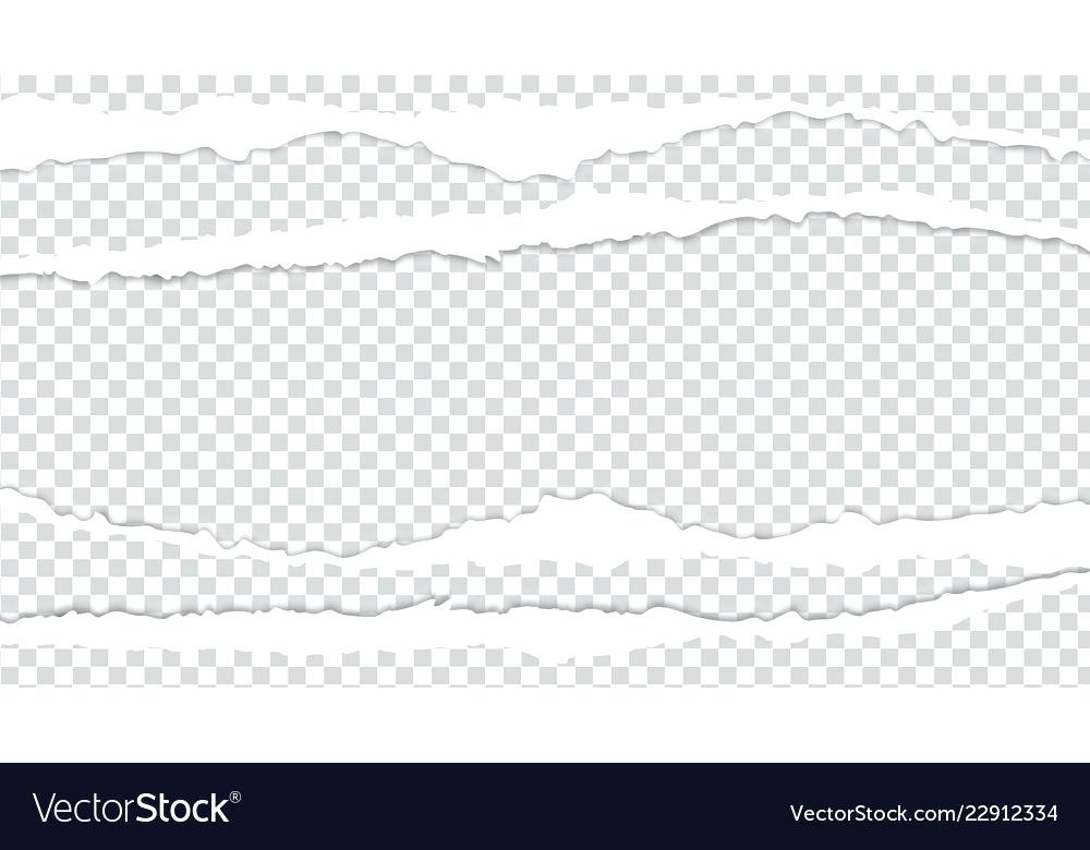 1000x780 Torn Paper Banner Template Free Vector Ripped Old