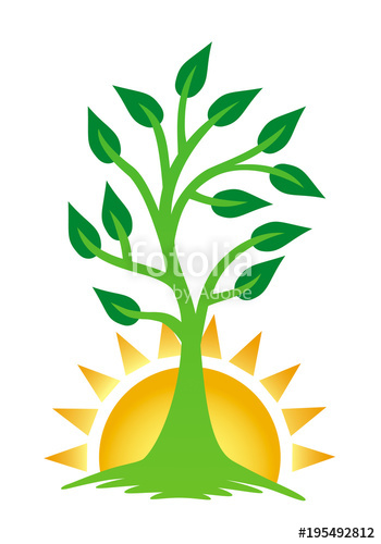 A Growing Tree Against The Backdrop Of The Rising Sun The Tree 350x500 A Growing Tree Against The Backdrop Of The Rising Sun The Tree