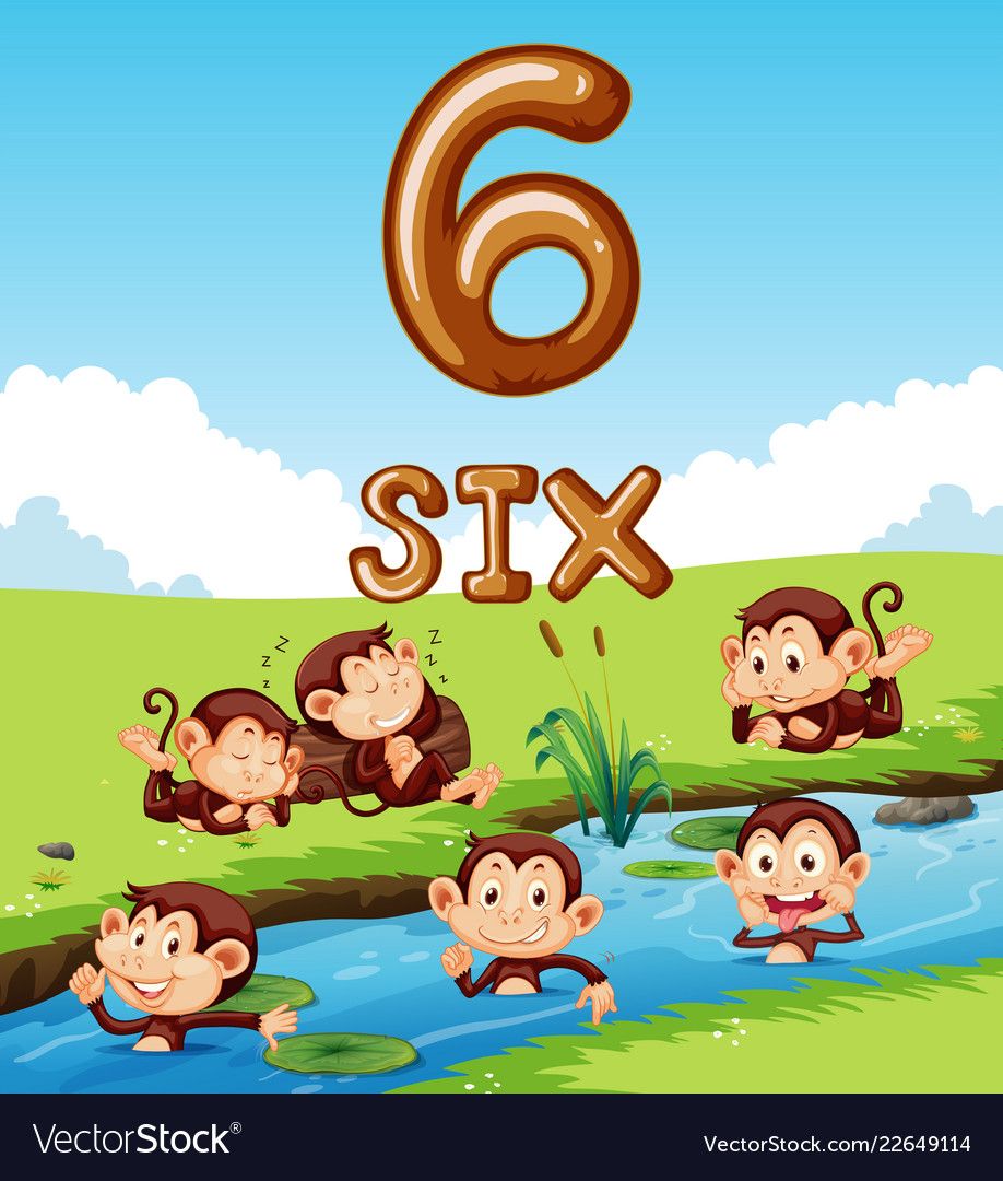 918x1080 Six Monkey Next To The River Royalty Free Vector Image Number