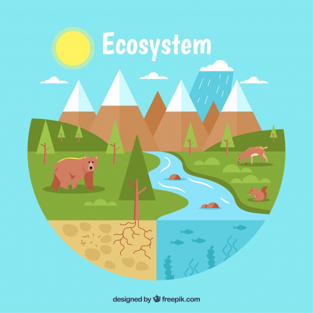 626x626 Flat Ecosystem Concept With River Vector Free Download