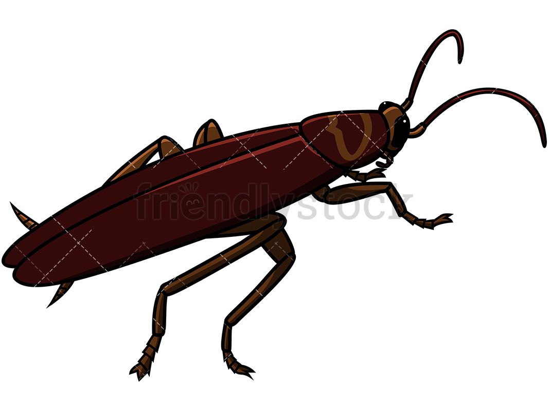 1067x800 Alive Cockroach Cartoon Vector Clipart Doodles Vector Clipart